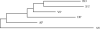 F<sc>IG</sc>. 1.—