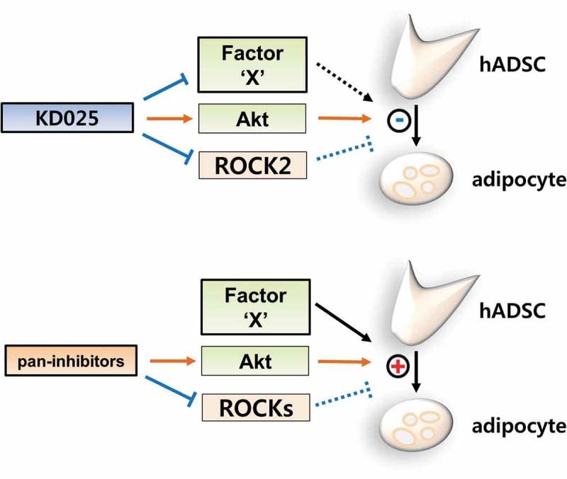 Figure 7.