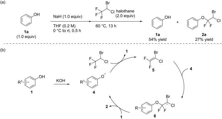 Scheme 4