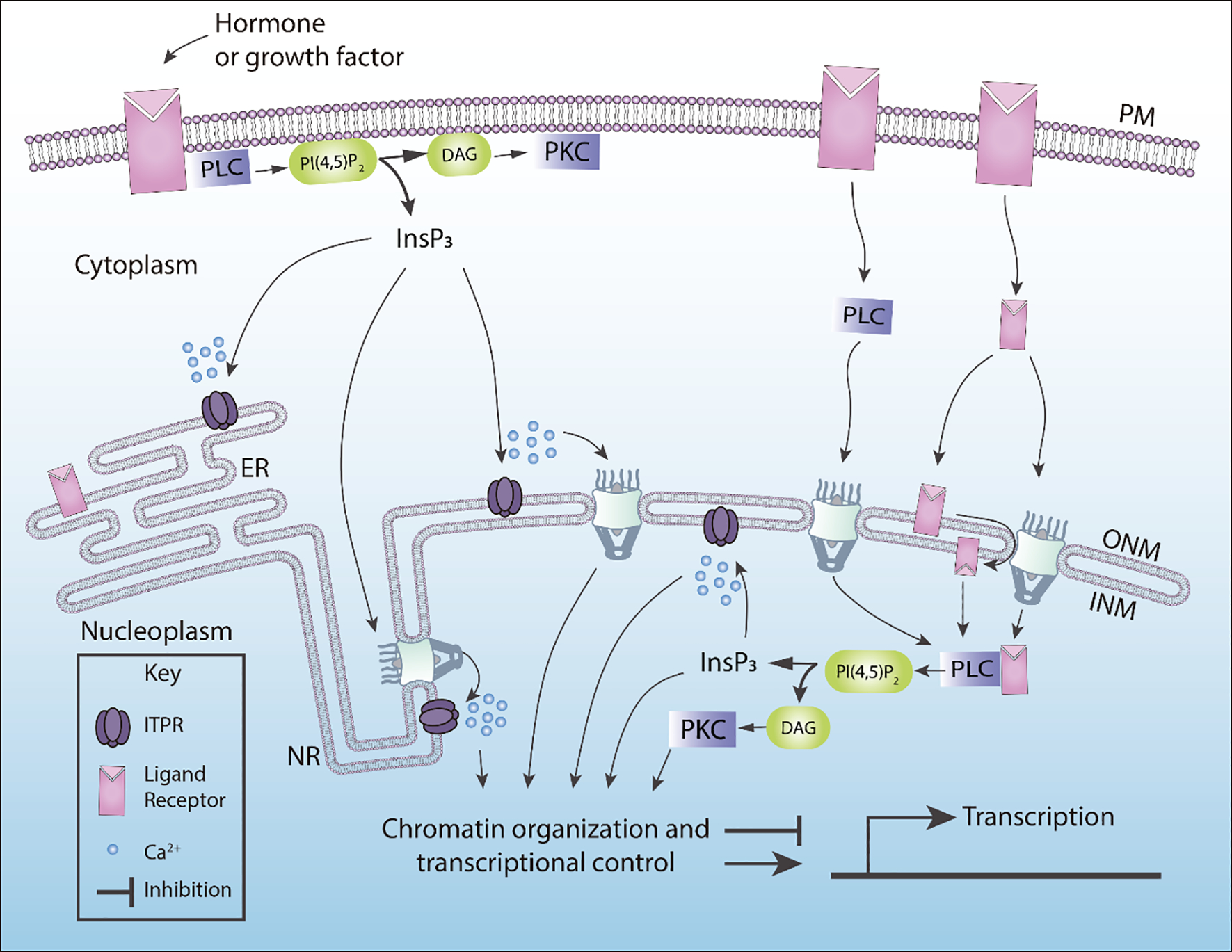 Figure 2.