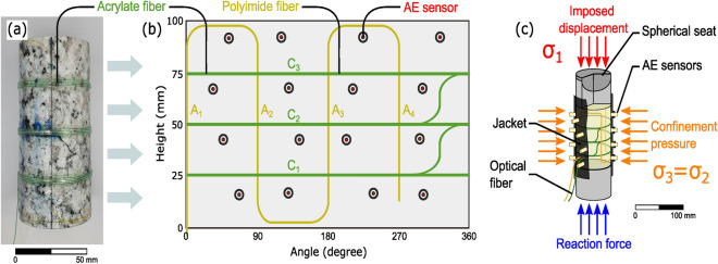 Fig. 8