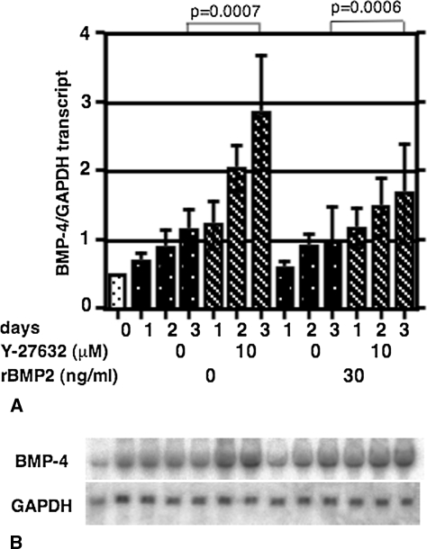 Fig. 4A–B