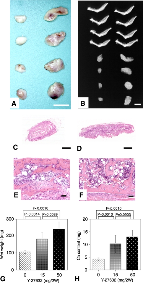 Fig. 1A–H