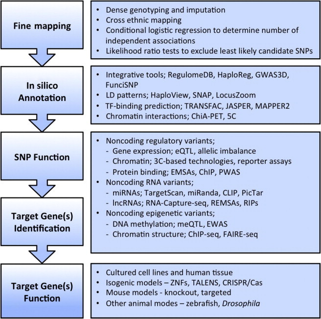 Figure 1