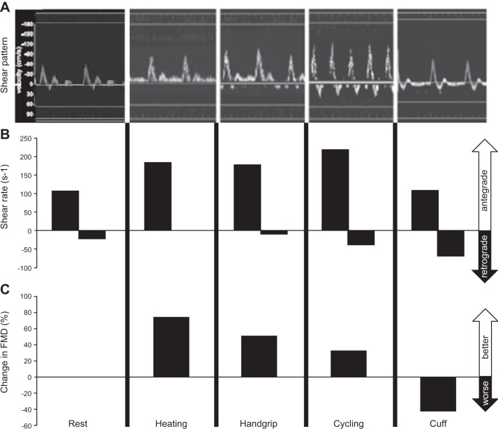 FIGURE 6.