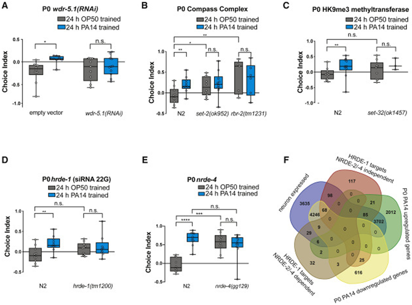 Fig. 4: