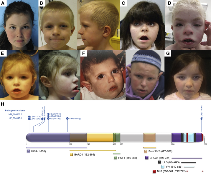 Figure 1