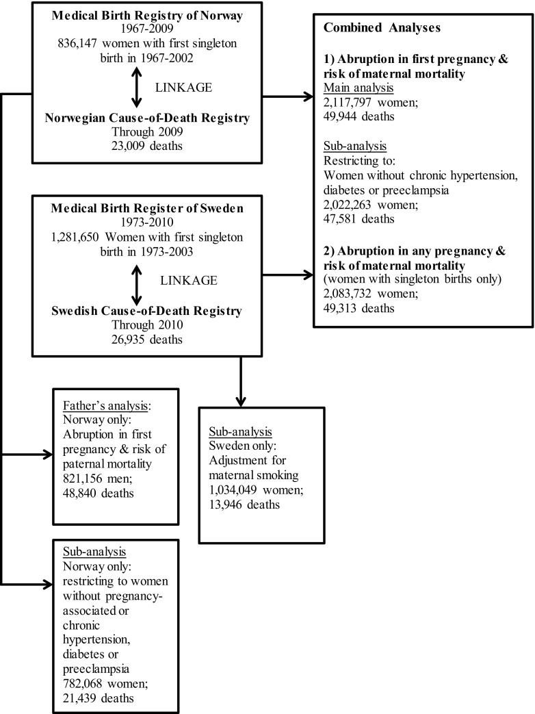 Fig. 1