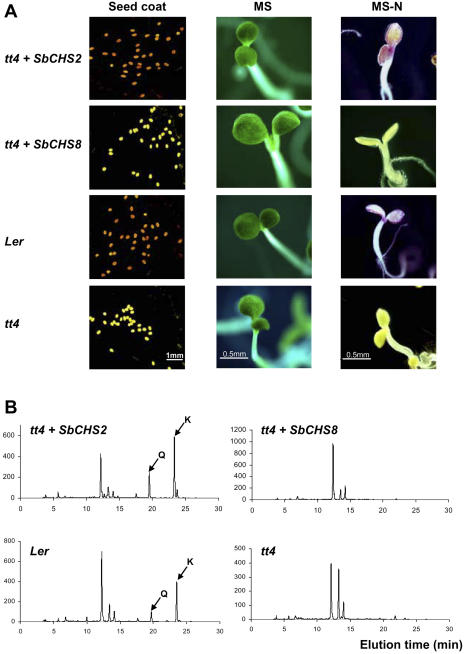 Figure 4.