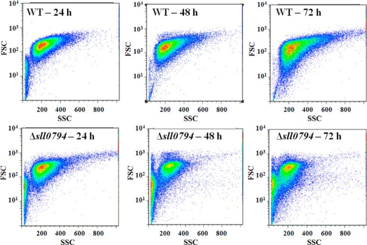 Fig. 2.