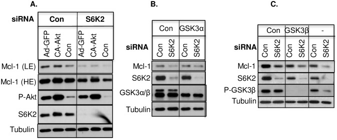 Fig 5