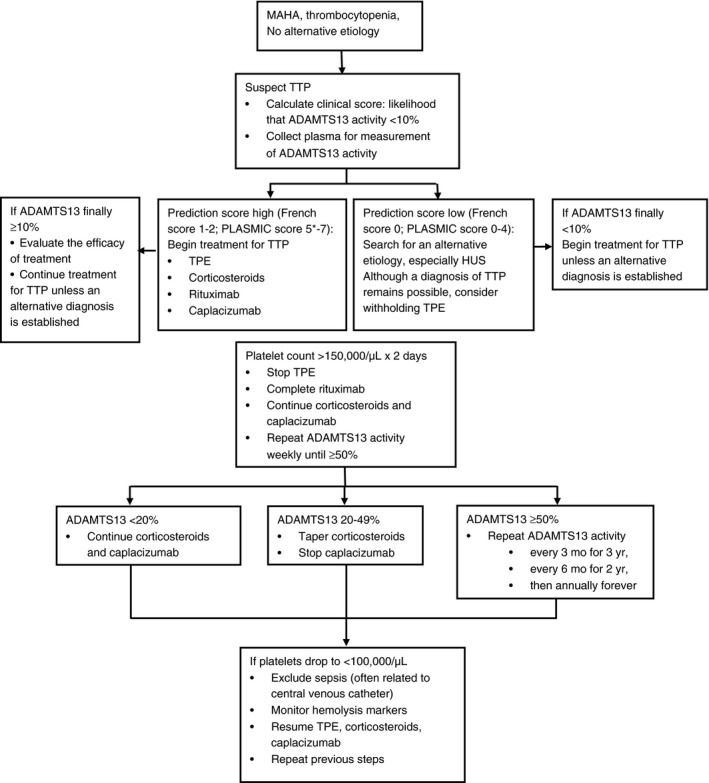 Algorithm A1