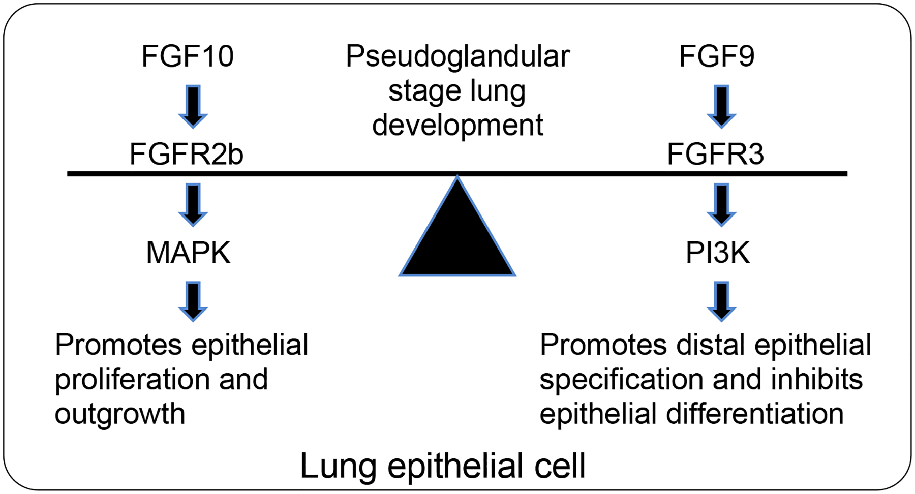 Fig. 9.