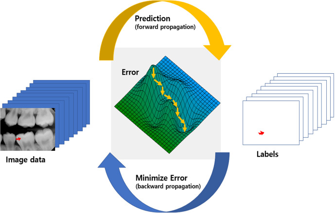 Figure 1.