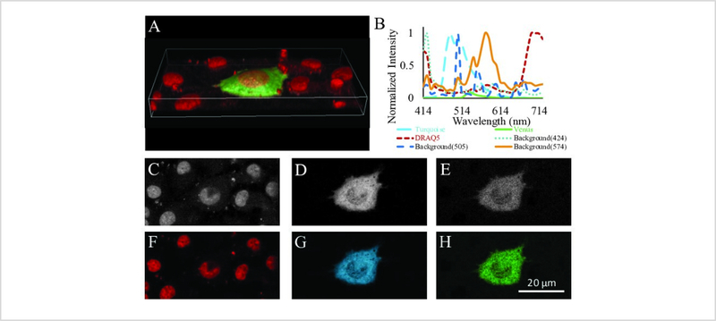 Figure 5: