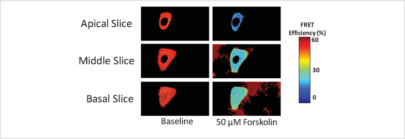 Figure 11: