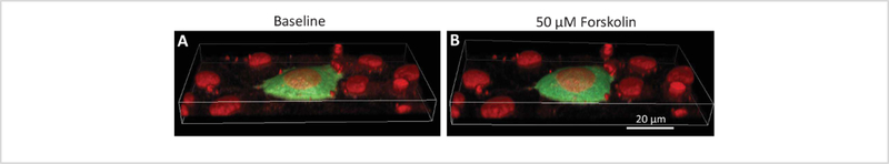 Figure 2: