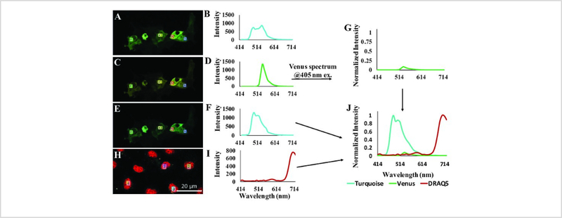 Figure 3: