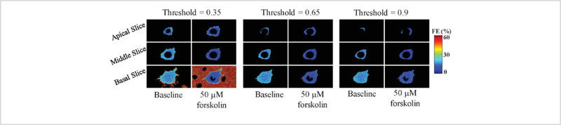 Figure 10: