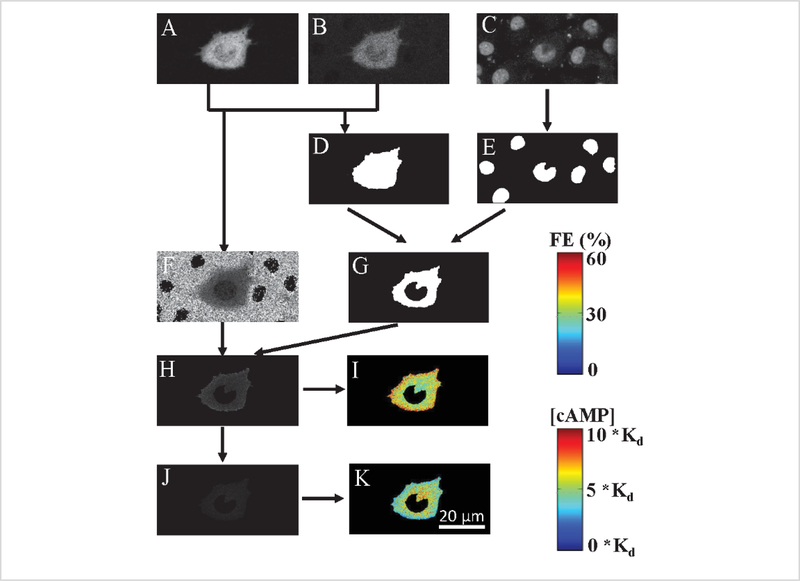 Figure 6: