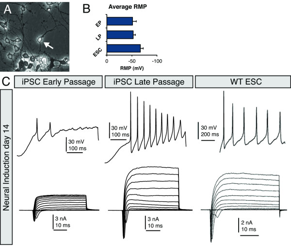 Figure 6