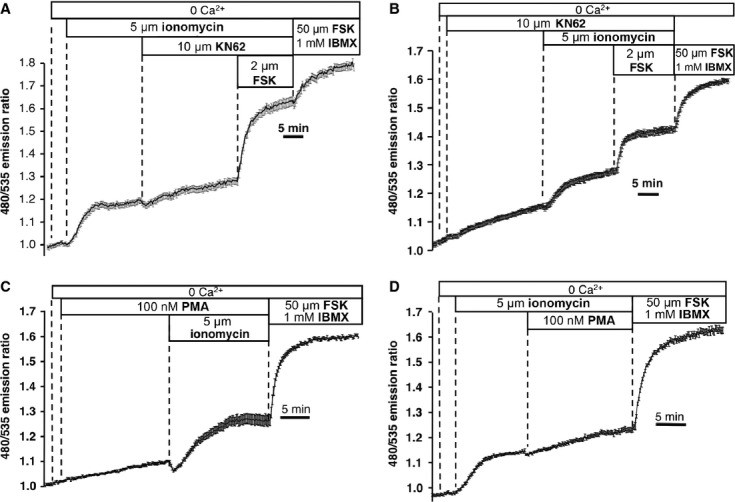 Fig. 4