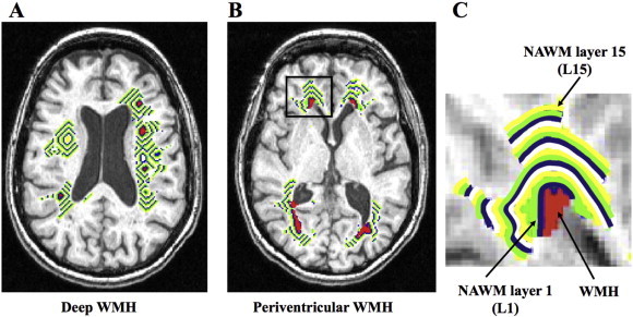 Fig. 1