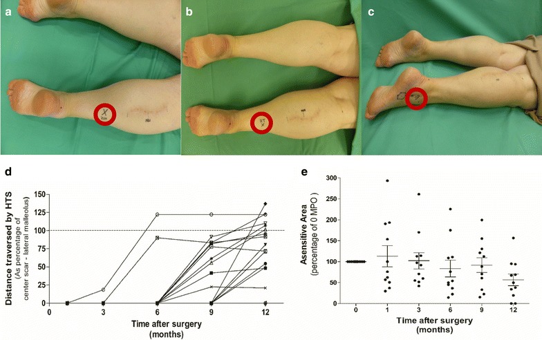 Fig. 2