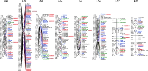 Fig. 2