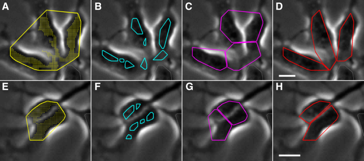 Figure 4