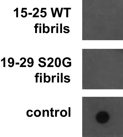 Figure 5—figure supplement 1.