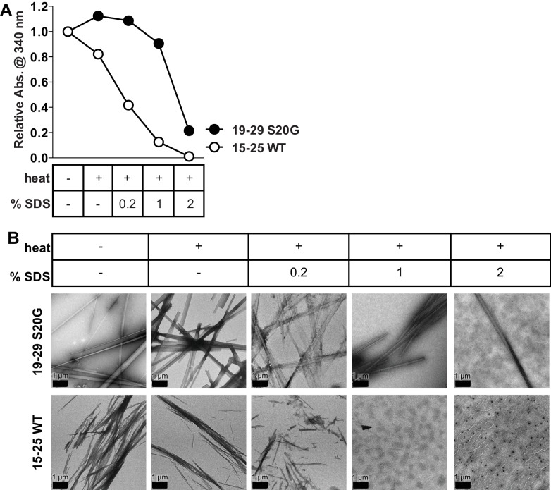 Figure 4—figure supplement 1.