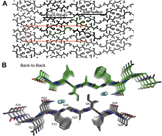 Figure 3—figure supplement 1.