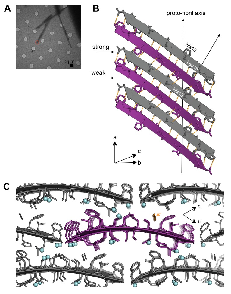 Figure 4.