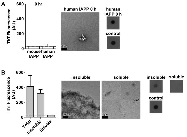 Figure 1—figure supplement 1.