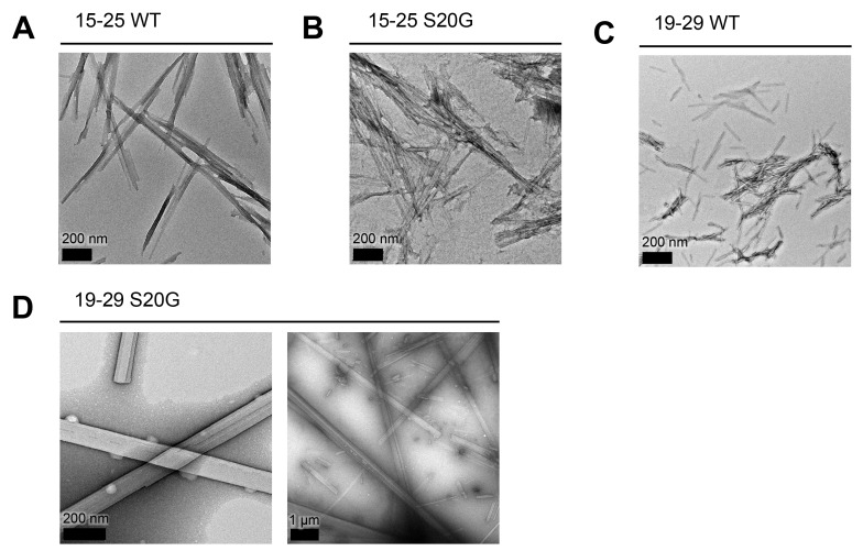 Figure 1—figure supplement 2.