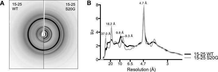 Figure 4—figure supplement 3.