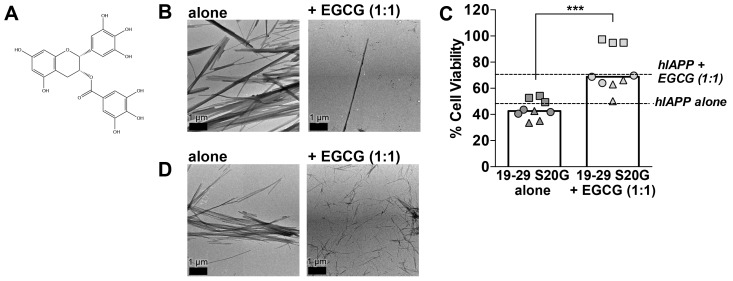 Figure 5—figure supplement 2.