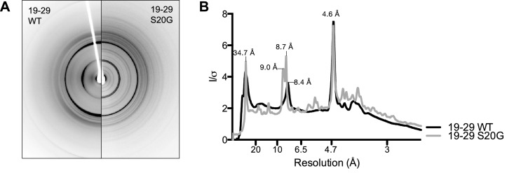 Figure 3—figure supplement 3.