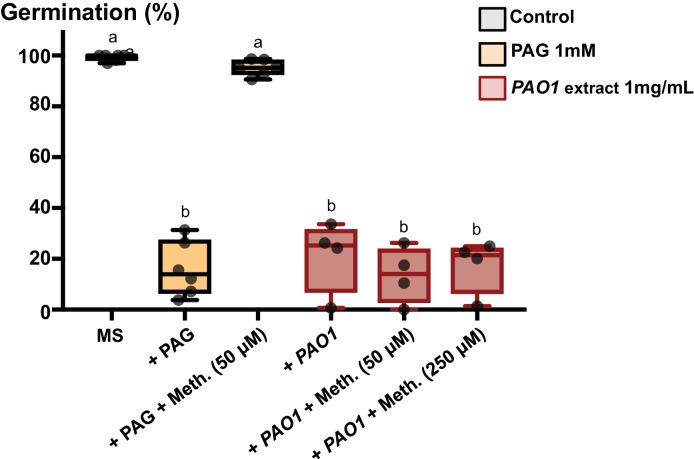 Figure 7—figure supplement 6.