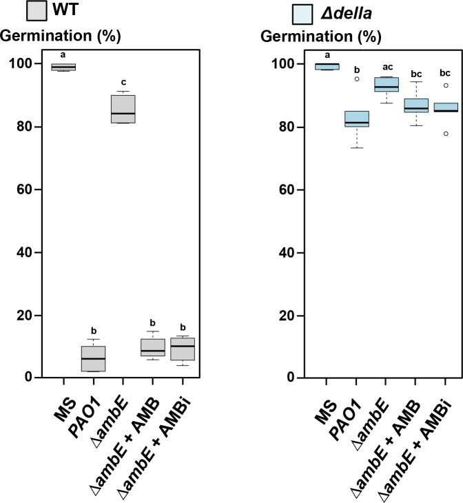 Figure 4—figure supplement 9.