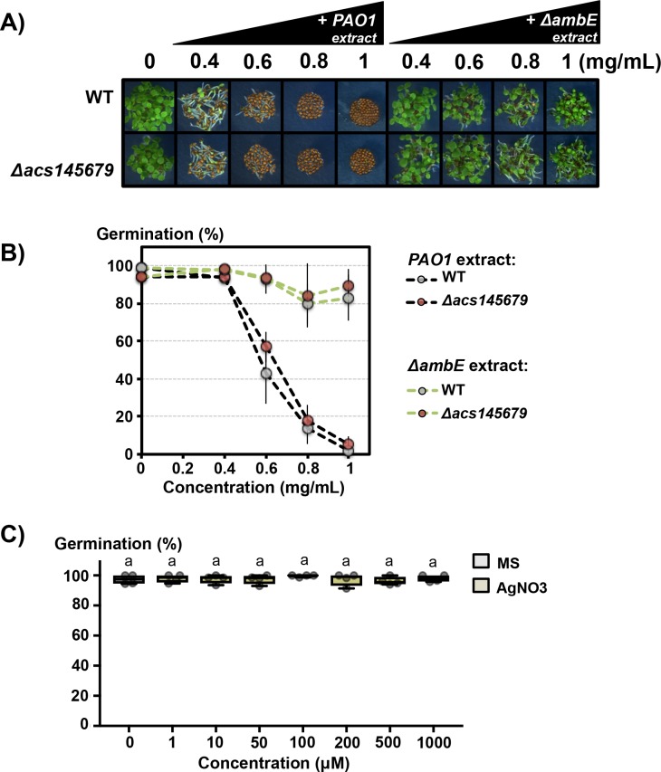 Figure 7—figure supplement 4.