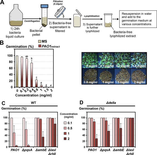 Figure 2—figure supplement 1.