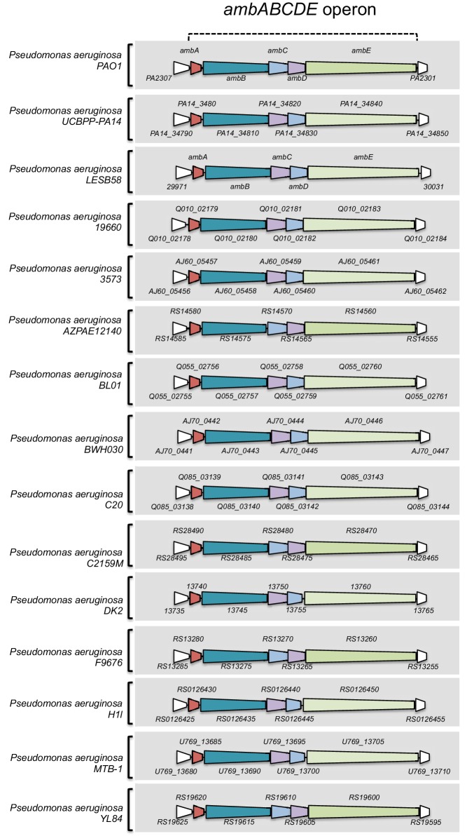 Figure 4—figure supplement 11.