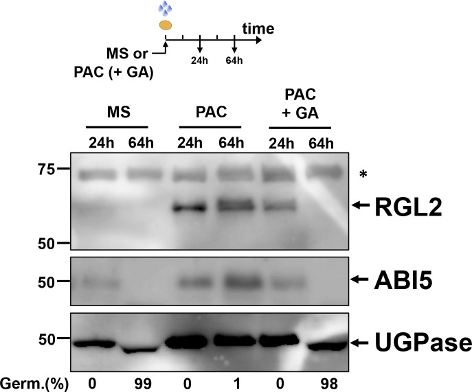 Figure 3—figure supplement 1.