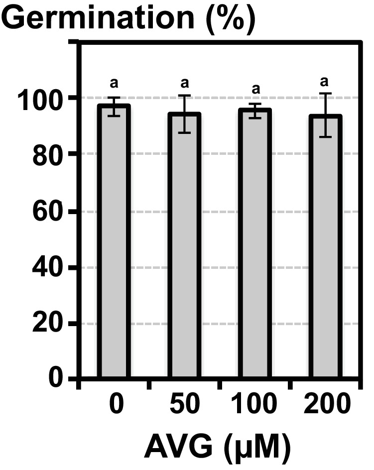 Figure 4—figure supplement 10.