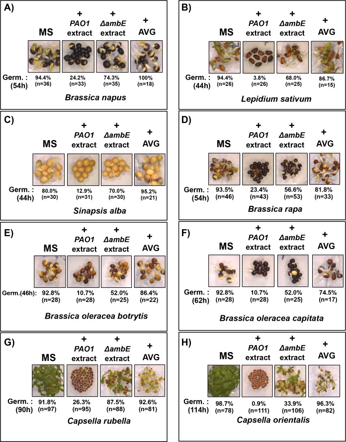 Figure 7—figure supplement 1.