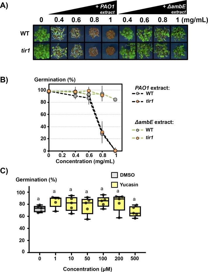 Figure 7—figure supplement 5.