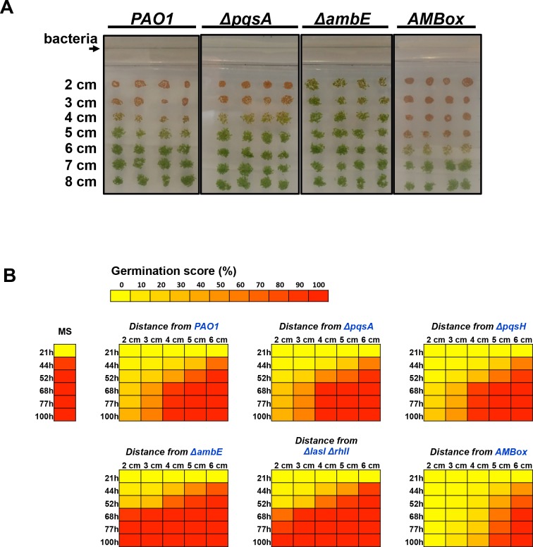 Figure 4—figure supplement 1.