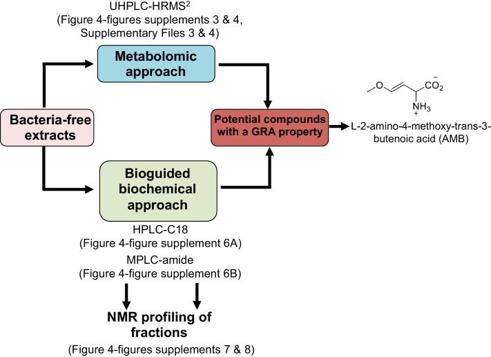 Figure 4—figure supplement 2.